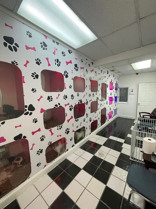 Puppy Place USA Picture 5