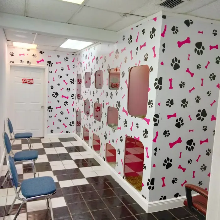 Puppy Place USA Picture 7