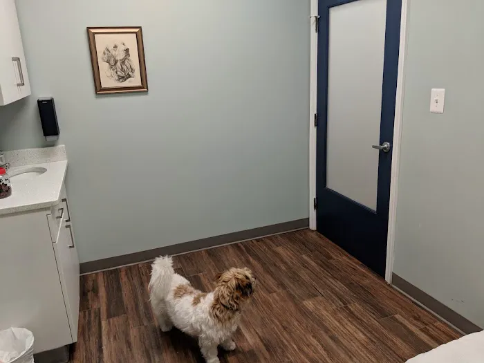 Hampden Veterinary Hospital Picture 6