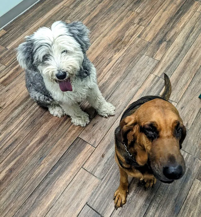 Hampden Veterinary Hospital Picture 5