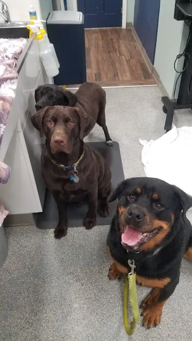 Hampden Veterinary Hospital Picture 2