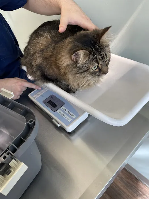 Hampden Veterinary Hospital Picture 1
