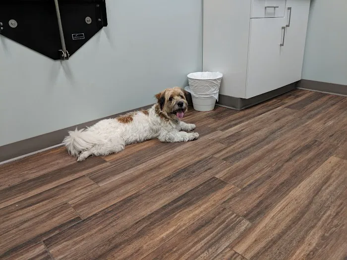 Hampden Veterinary Hospital Picture 8