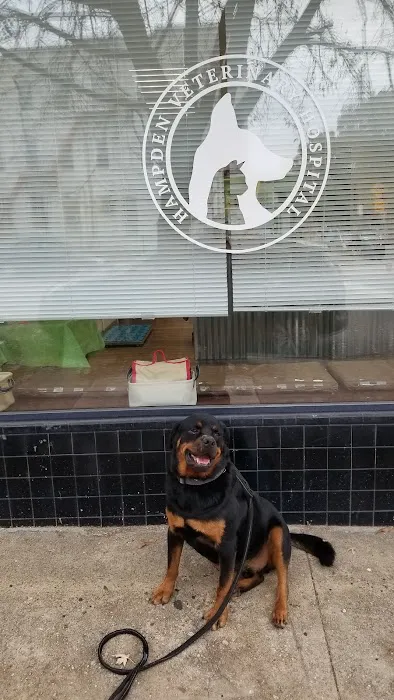 Hampden Veterinary Hospital Picture 7