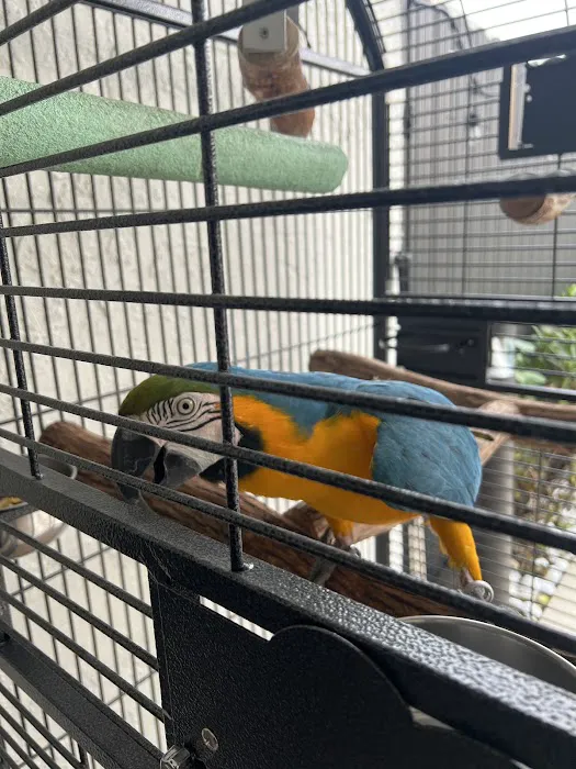 Exotic Bird House, Avian Exotic Bird Shop, Grooming & Boarding Picture 1