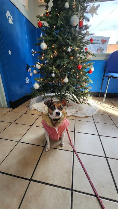 Aardmore Veterinary Hospital Picture 7