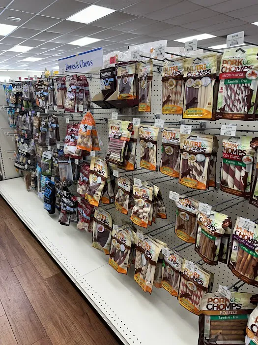 Pet Supermarket Picture 5