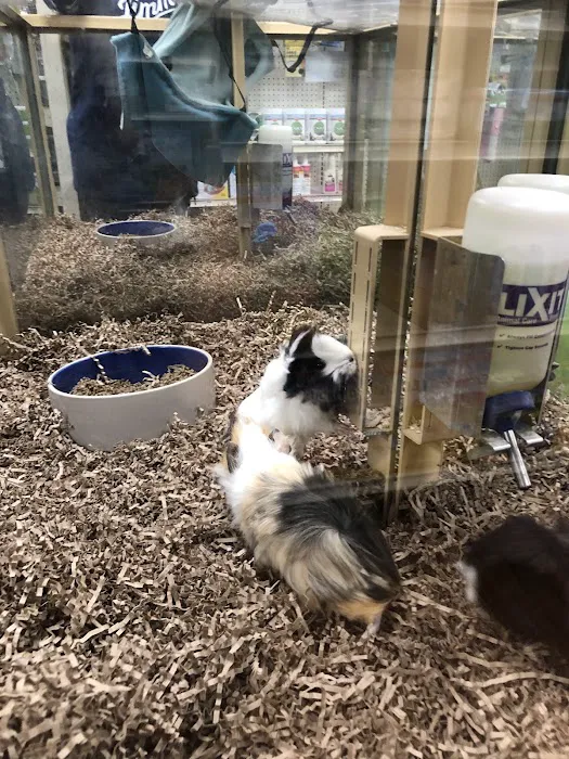 Pet Supermarket Picture 1