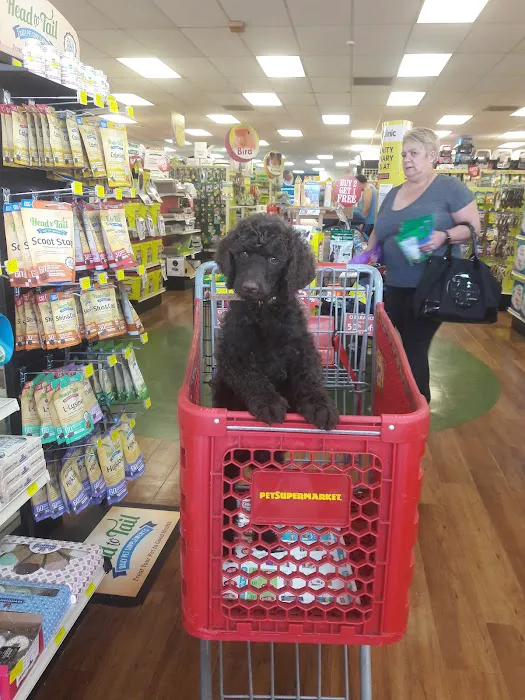 Pet Supermarket Picture 9