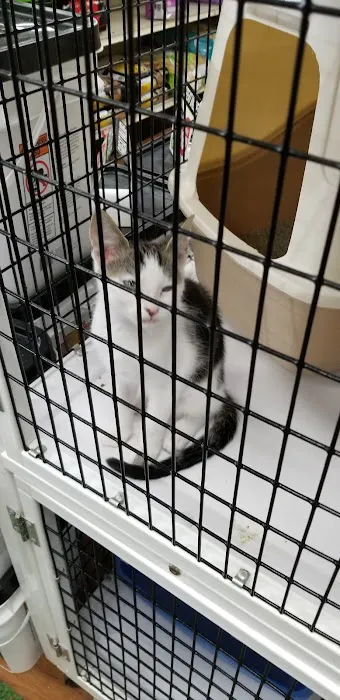 Pet Supermarket Picture 10