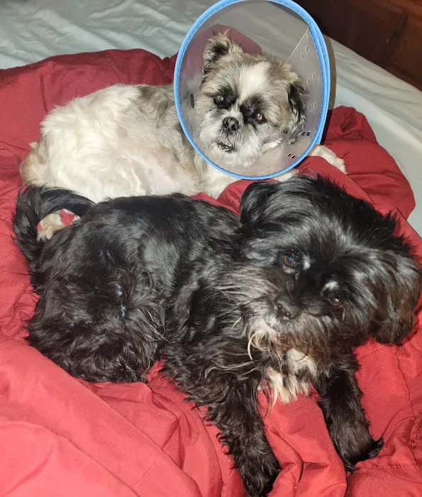 Liberty Animal Clinic Picture 2