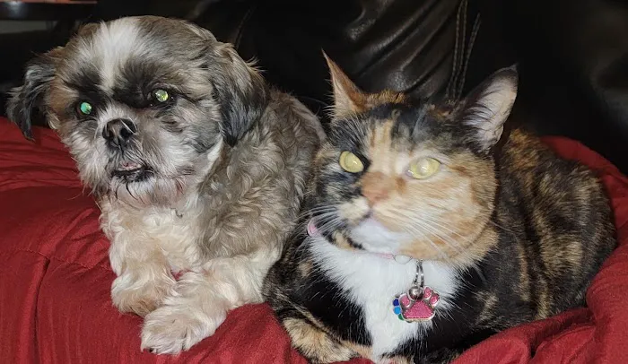 Liberty Animal Clinic Picture 1