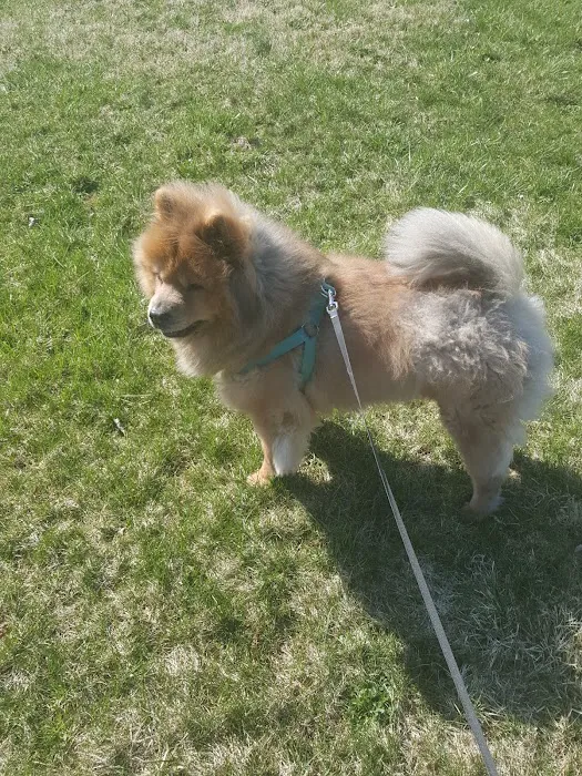 Liberty Animal Clinic Picture 5