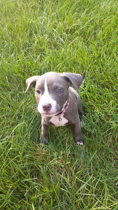 Liberty Animal Clinic Picture 8