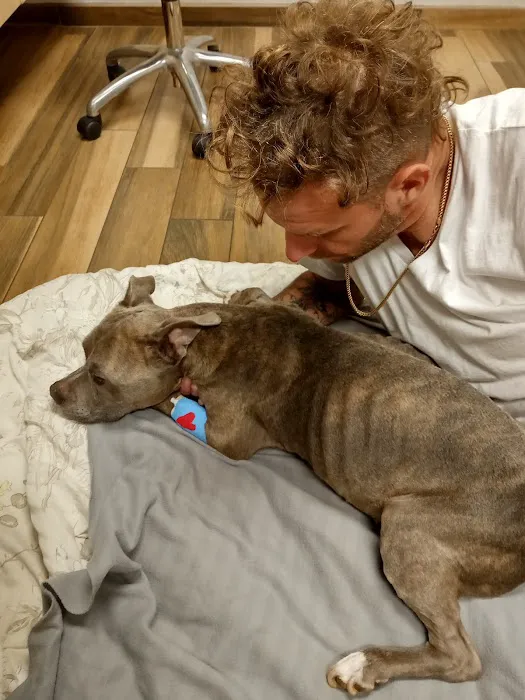 Liberty Animal Clinic Picture 7