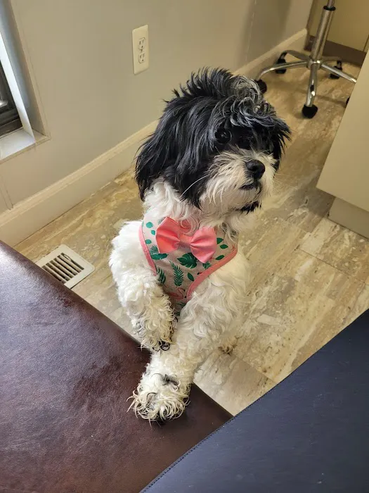 Liberty Animal Clinic Picture 4