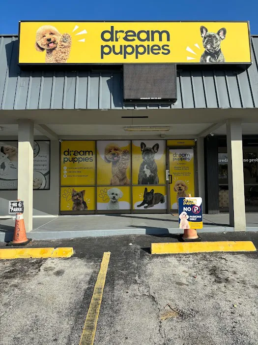 Dream Puppies Picture 5