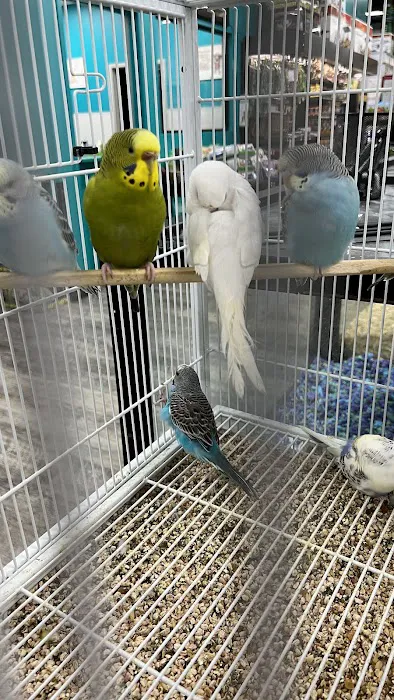 Pet Supermarket Picture 5