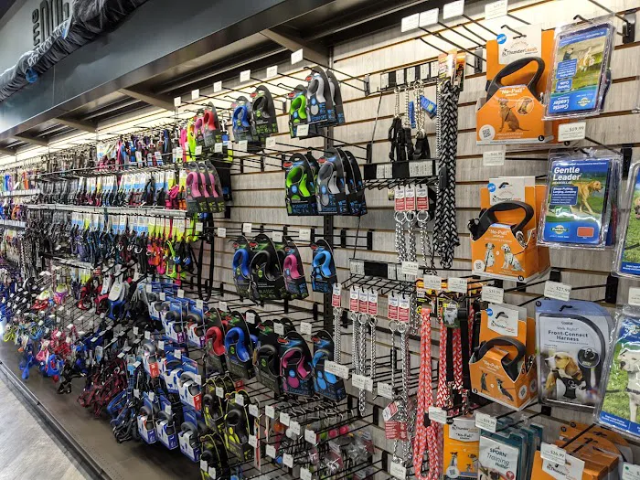 Pet Supermarket Picture 6