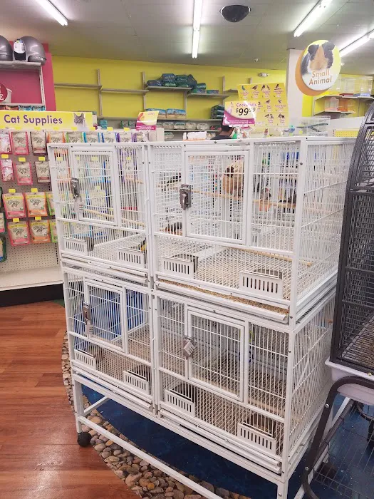 Pet Supermarket Picture 7