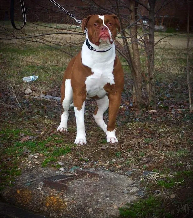 Erdman Animal Hospital Picture 2
