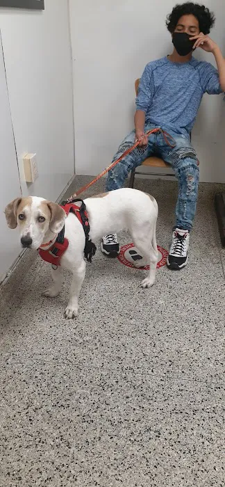 Erdman Animal Hospital Picture 5