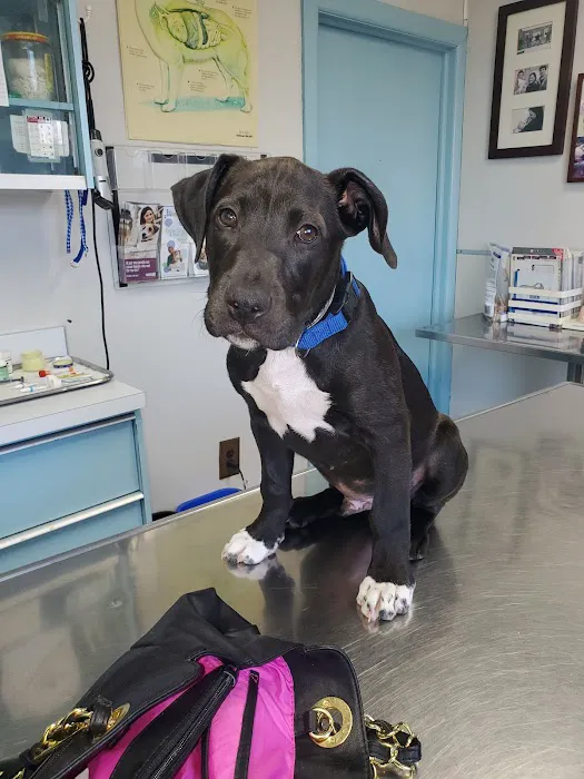 Erdman Animal Hospital Picture 7