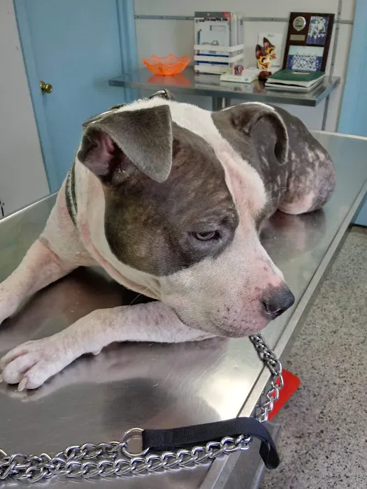 Erdman Animal Hospital Picture 9