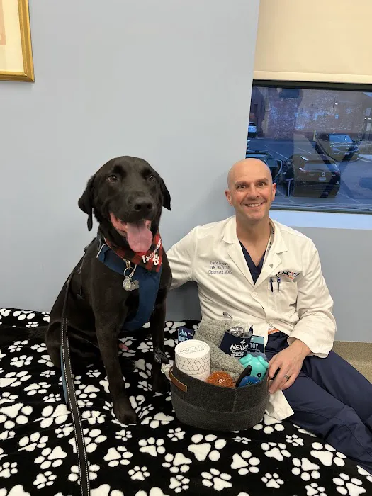 Nexus Veterinary Specialists Picture 5