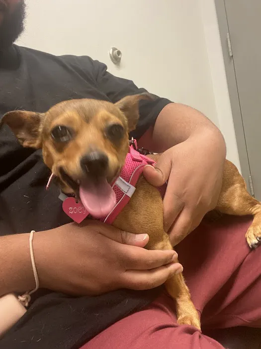 Charm City Veterinary Hospital Picture 3
