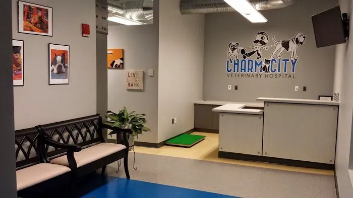 Charm City Veterinary Hospital Picture 5