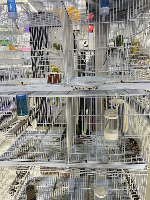 Gallegos Pet Shop Picture 2