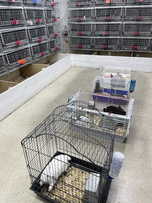 Gallegos Pet Shop Picture 3