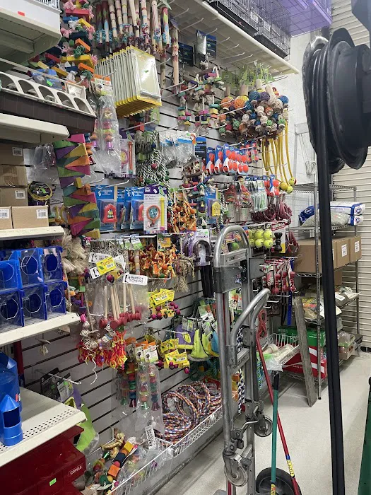 Gallegos Pet Shop Picture 7