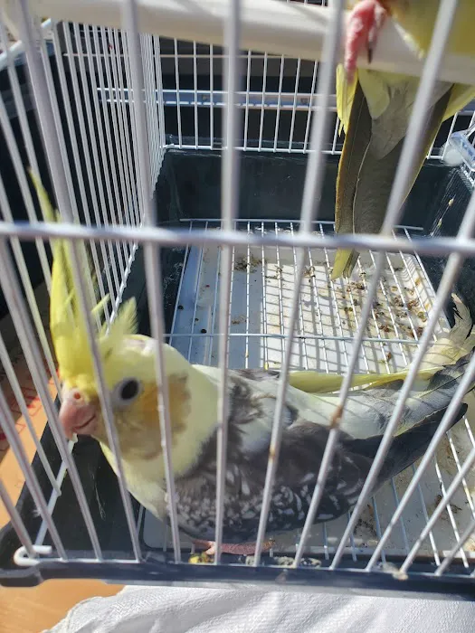 Gallegos Pet Shop Picture 8