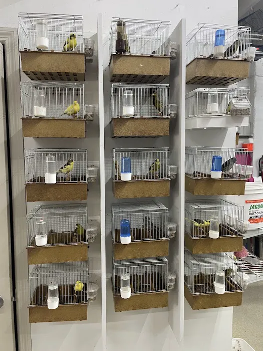 Gallegos Pet Shop Picture 10