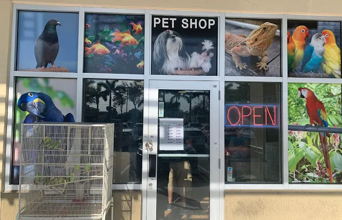 Animal Jungle Shop Picture 4