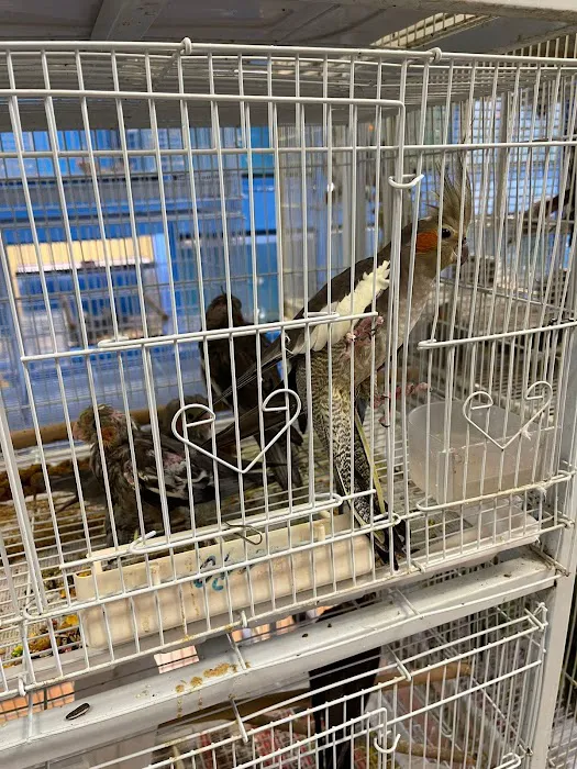 Animal Jungle Shop Picture 2