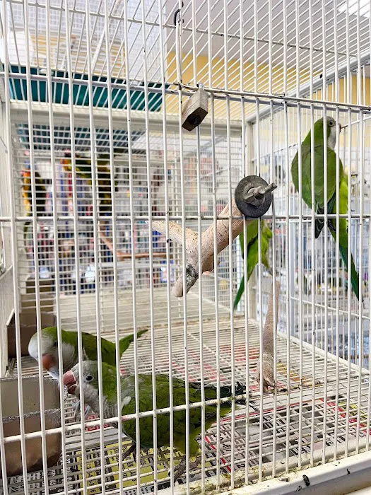 Animal Jungle Shop Picture 10