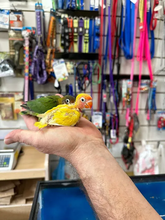 Animal Jungle Shop Picture 5