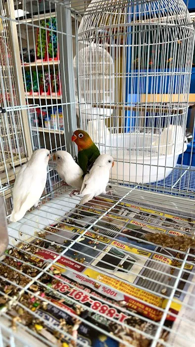 Animal Jungle Shop Picture 8