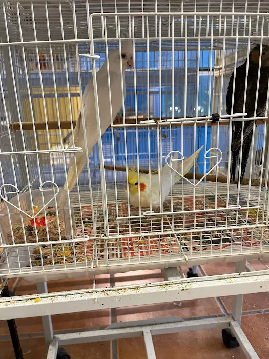 Animal Jungle Shop Picture 9