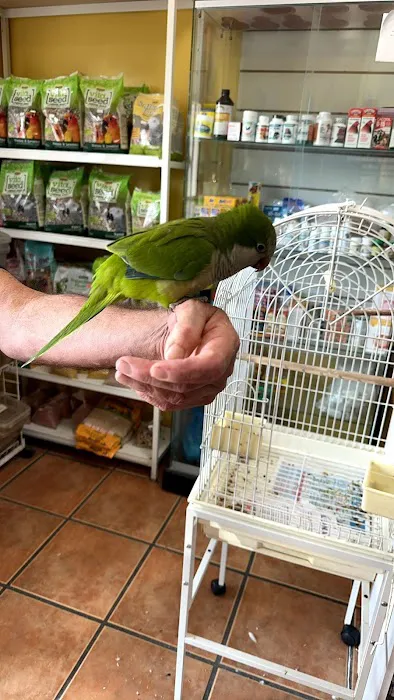 Animal Jungle Shop Picture 6
