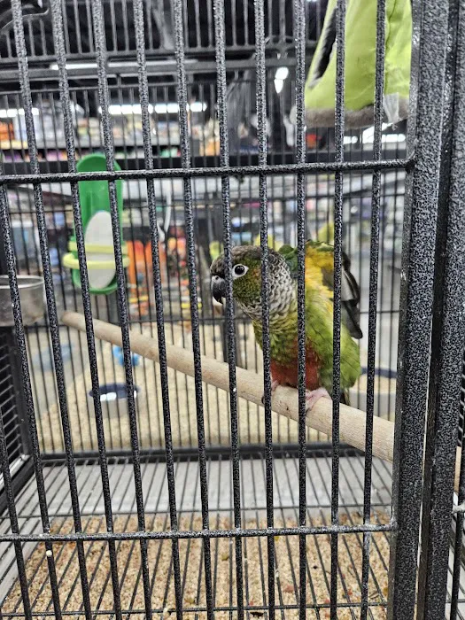 Pet Supermarket Picture 6