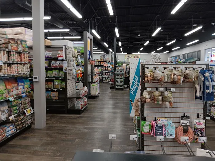 Pet Supermarket Picture 5