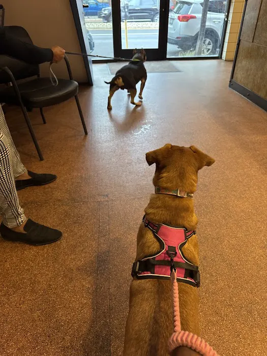 Harbor View Veterinary Hospital Picture 9