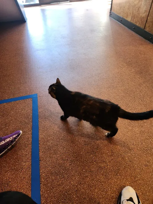 Harbor View Veterinary Hospital Picture 4