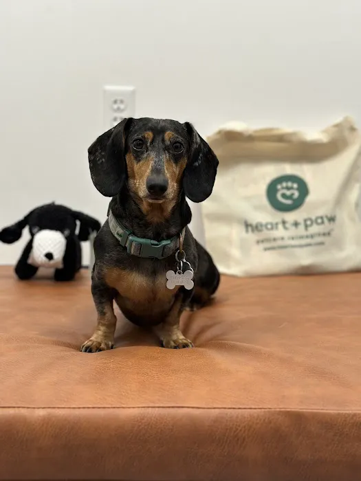 Heart + Paw Picture 4