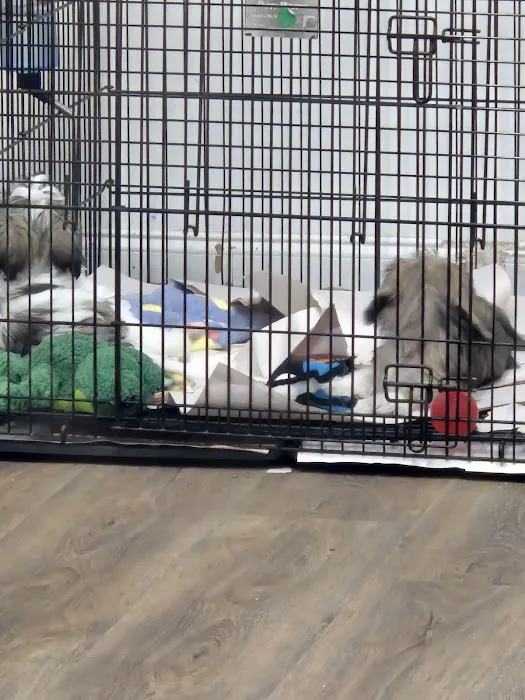 Beverly's Pet Center Picture 4