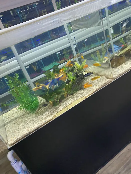 Beverly's Pet Center Picture 2